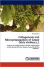 Callogenesis And Micropropagation Of Grape (Vitis Vinifera L.) - Preview
