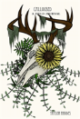 Calloused: A Field Journal - Preview