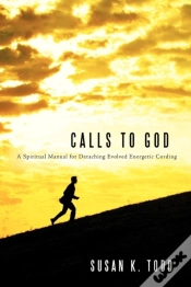 Capa do artigo Calls To God