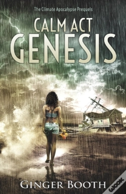 Capa do artigo Calm Act Genesis