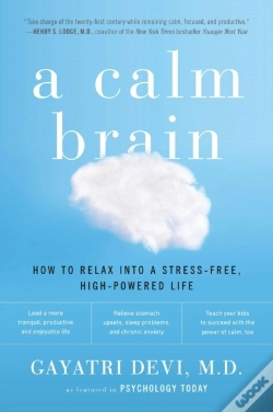 Capa do artigo Calm Brain