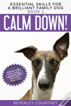 Capa do artigo Calm Down!