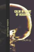 Calm In Front Of Headache