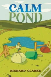 Capa do artigo Calm Pond