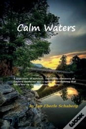 Capa do artigo Calm Waters