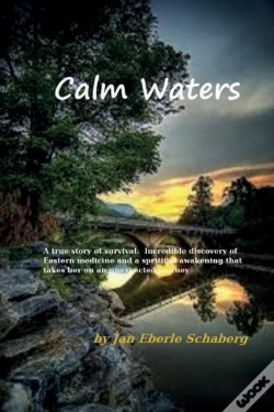 Capa do artigo Calm Waters