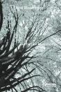 Calme Des Feuillaisons - Preview