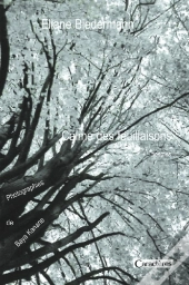 Calme Des Feuillaisons