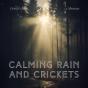 Calming Rain And Crickets - Preview
