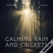 Capa do artigo Calming Rain And Crickets