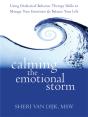 Calming The Emotional Storm - Preview