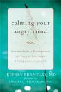 Calming Your Angry Mind - Preview