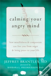 Capa do artigo Calming Your Angry Mind