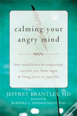 Capa do artigo Calming Your Angry Mind
