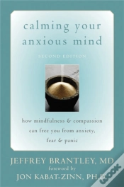 Capa do artigo Calming Your Anxious Mind