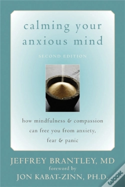 Capa do artigo Calming Your Anxious Mind