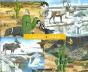 Calor I Fred - Preview