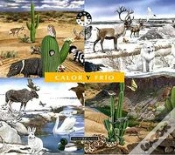 Capa do artigo Calor Y Frio