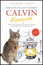 Calvin Esparguete - Preview
