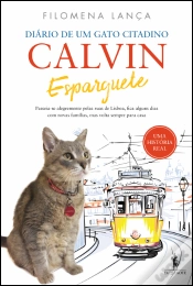 Capa do artigo Calvin Esparguete
