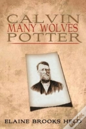 Capa do artigo Calvin Many Wolves Potter