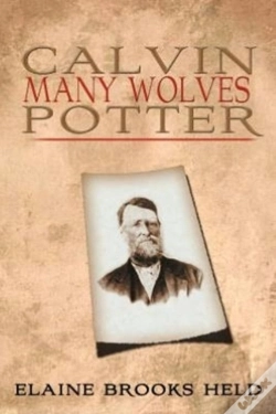 Capa do artigo Calvin Many Wolves Potter
