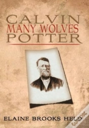 Capa do artigo Calvin Many Wolves Potter