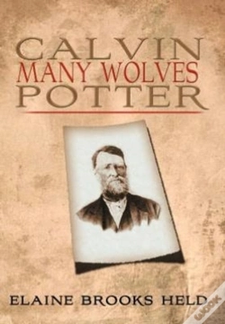 Capa do artigo Calvin Many Wolves Potter