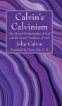 Calvin'S Calvinism - Preview