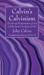 Calvins Calvinism - Preview