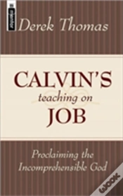 Capa do artigo Calvin