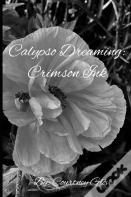 Calypso Dreaming