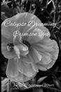 Calypso Dreaming - Preview