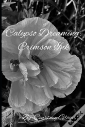 Capa do artigo Calypso Dreaming