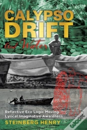 Capa do artigo Calypso Drift And Water: Reflective Eco