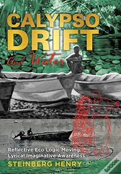 Capa do artigo Calypso Drift And Water: Reflective Eco