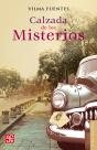 Calzada De Los Misterios - Preview