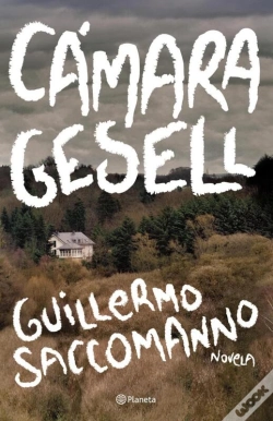 Capa do artigo Cámara Gesell