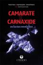 Camarate e Carnaxide - Preview