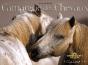 Camargue Des Chevaux - Preview