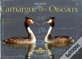 Camargue Des Oiseaux