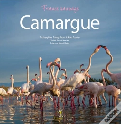 Capa do artigo Camargue