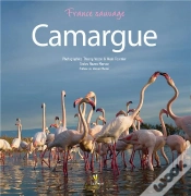 Capa do artigo Camargue