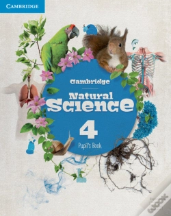 Capa do artigo Camb Ns 4 Pb