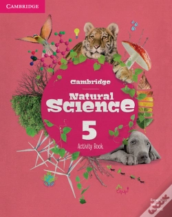 Capa do artigo Camb Ns 5 Ab