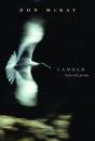 Camber - Preview