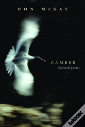 Capa do artigo Camber