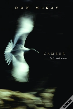 Capa do artigo Camber