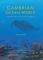 Cambrian Ocean World - Preview