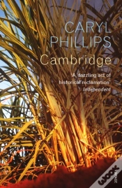 Capa do artigo Cambridge